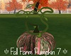 Fall Farm Pumpkin 7