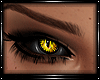 V| SheWolf *Eyes