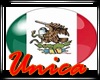 (U) MEXICO FLAG