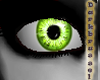 [D] Crystal Eyes: Lime