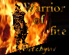 Avatar - Warrior of fire