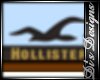 Boy's Hollister Side Tab