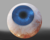 1T Eye Blue(Vicent hd)