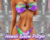 Hawaii Bikini Purple
