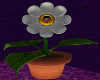 Flower Avatar