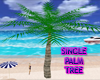 (IKY2) SINGLE PALM TREE