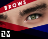 . ALADDIN BROWS BLACK