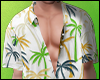 ✔ Palm Beach Shirt