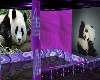 purple panda club