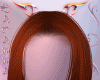 S. Khloe Ginger