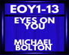 michael bolton EOY1-13
