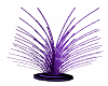 purple flashing plant