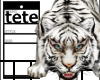 【t】WHITE TIGER