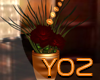 YoZ7