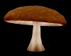 Mushroom Brown Animat