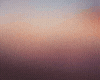 Arab desert-Z1