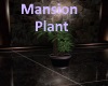 [BD]MansionPlant