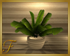 F: Summer Beach Plants