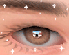 ♡ Eyes Brown