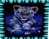 Black N teal tiger pic