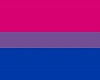 [B] Bisexual Pride Flag