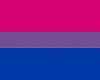 [B] Bisexual Pride Flag