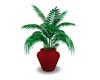 POTTED PLANT 10