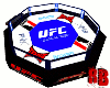 UFC Fight Cage Ring
