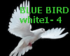 white bird light JB