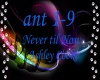 Never til NowAshleyCooke