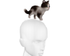 Japanese Kitty