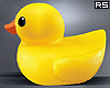 金 Duck Head