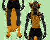 Wolf Hallow Skin (M)/SP