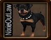 NIX~OutLaw Rottweiler