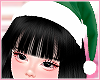 Green xmas hat