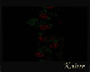 roses2