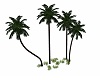 Palmtrees 4x