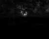 Dark Moon Forest 1