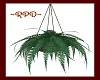 ~RPD~ Hanging Plant
