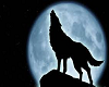 HOWLING WOLF