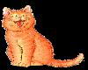Laughing cat
