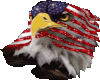 American Eagle sticker