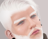 Rk| Asteri Albino White