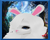 White Rabbit Ears V3