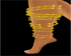 {AA} gold leg bands L