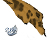 Leopard Paws M