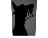 doberman ♥