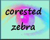 [PT] corseted zebra