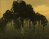 Old Oak tree