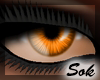 (Sok) Oracle Orange Eyes